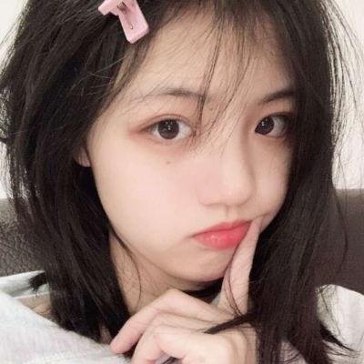 极岛森林第二季